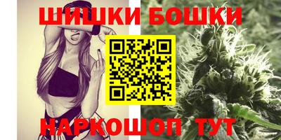 jwh Бийск