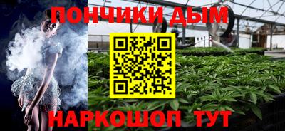 jwh Бийск