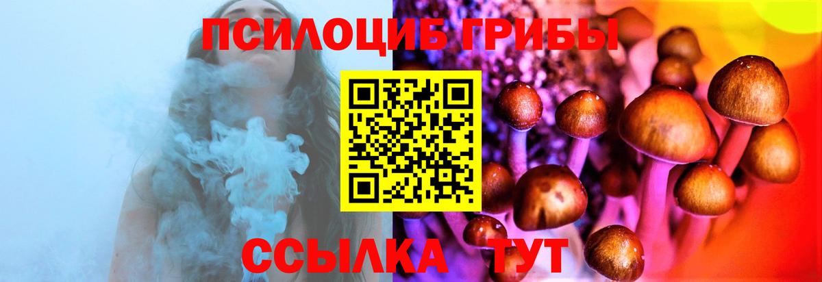 Галлюциногенные грибы Psilocybe Джанкой